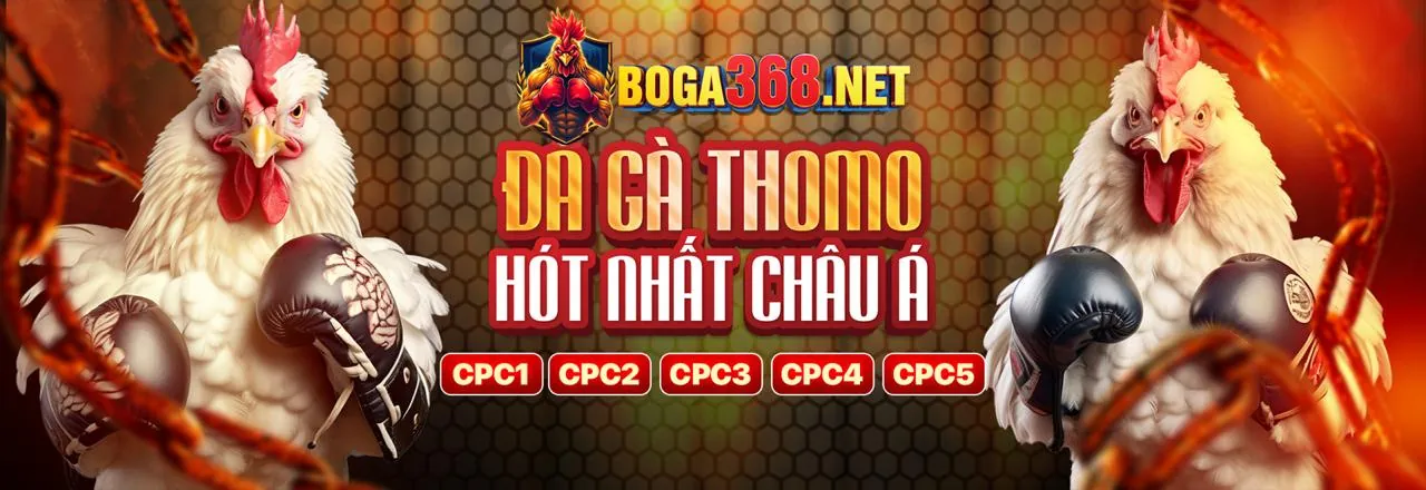 Đá gà trực tiếp M88, keonhacai uy tín
